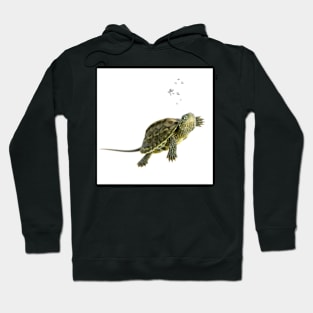 Turtle Hoodie